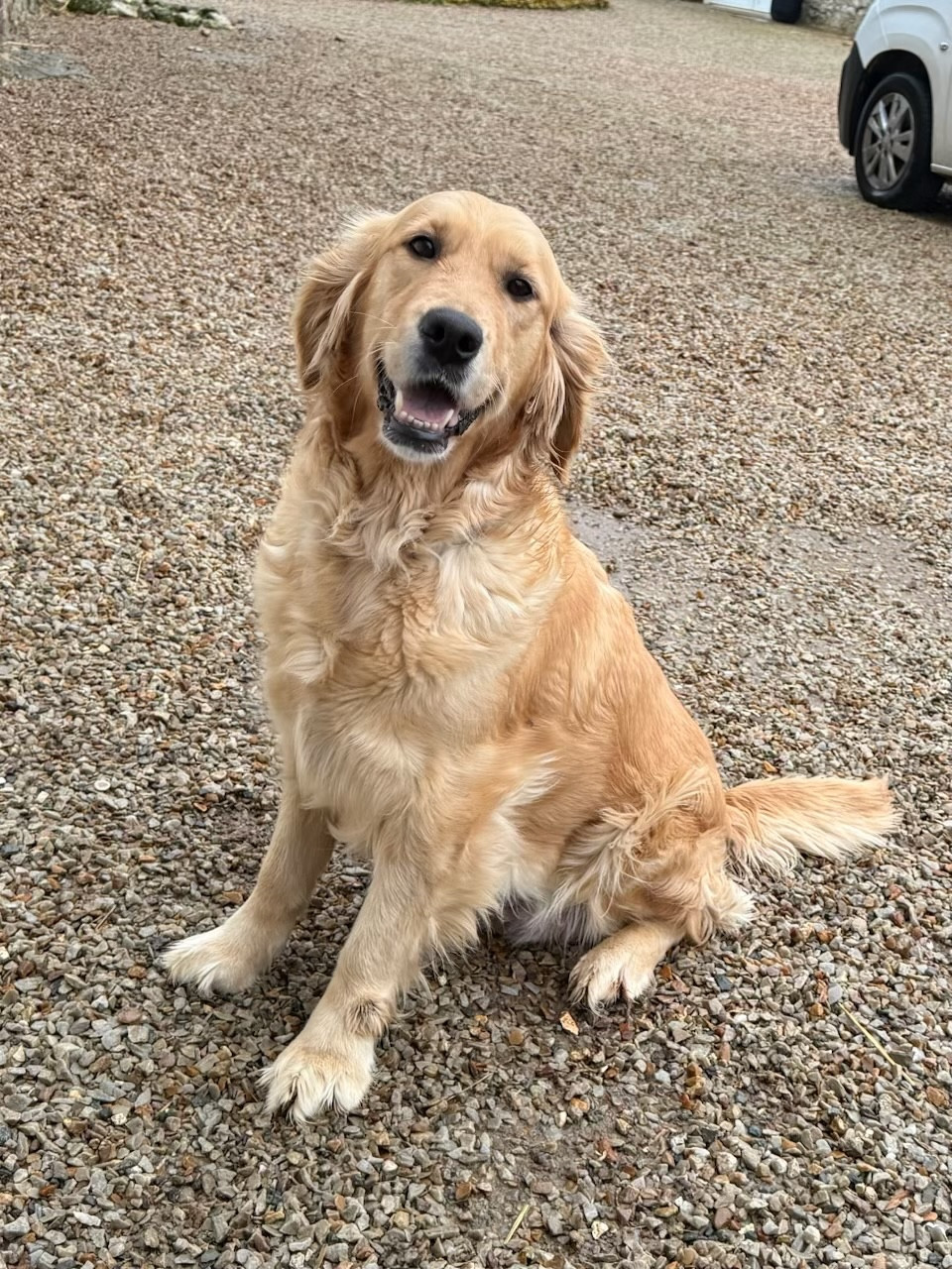 Thérèse du moulin de madjurie