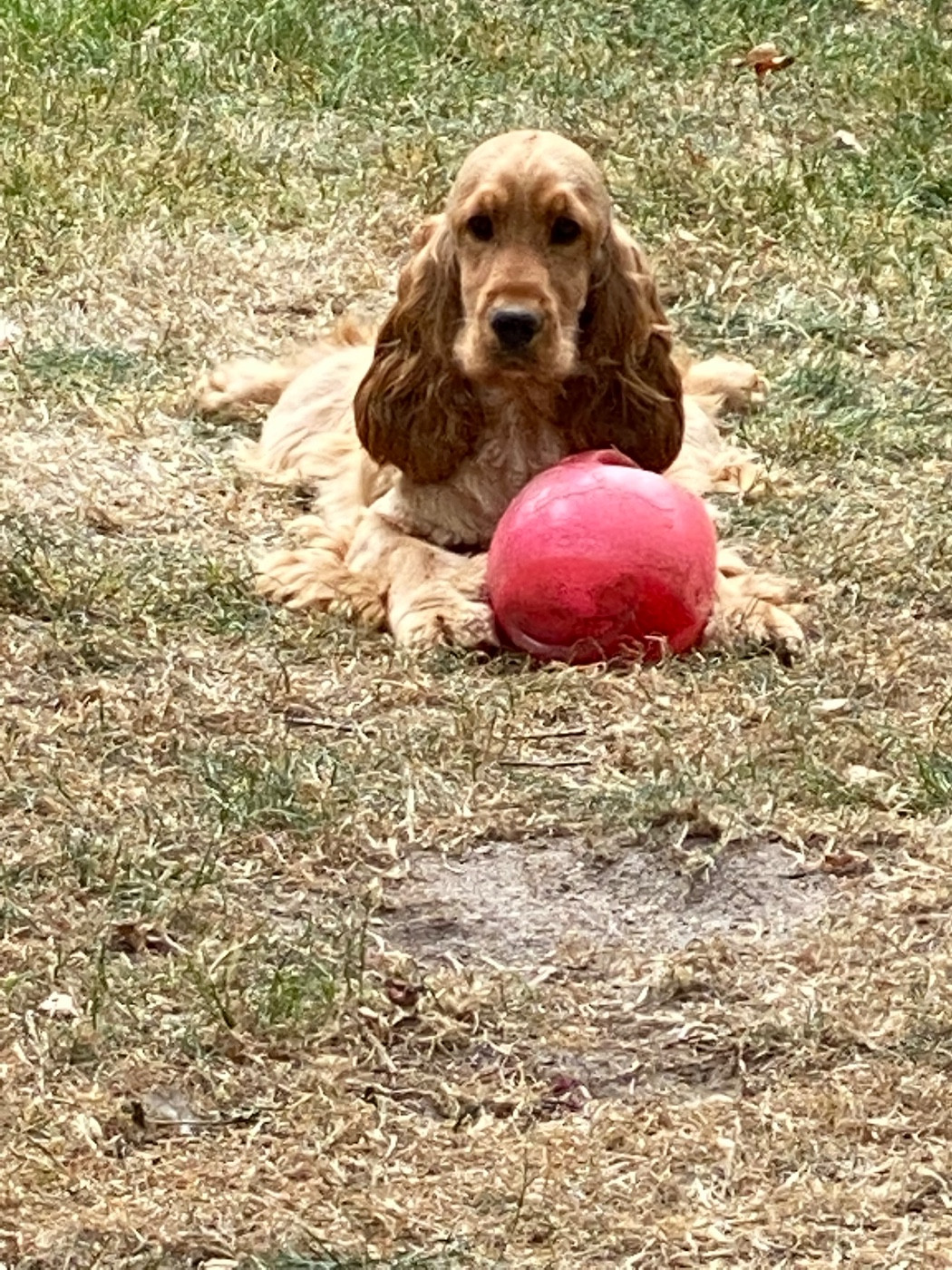 Rancune du moulin de madjurie