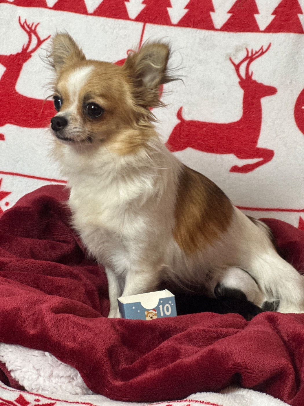 Unique du moulin de madjurie